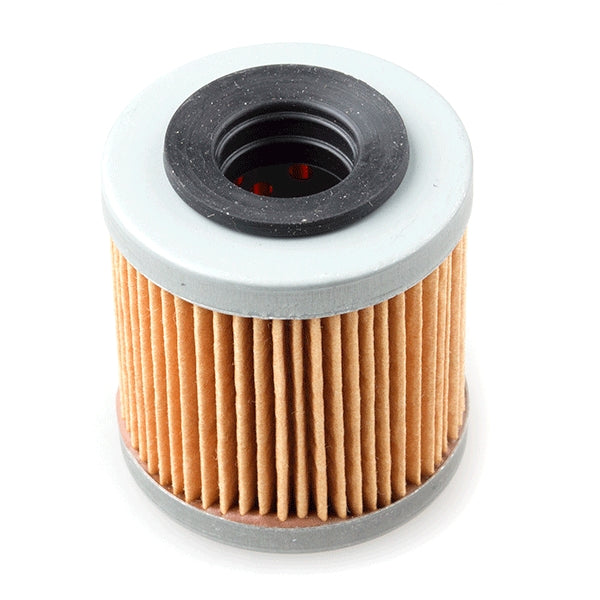 Alyvos filtras MALAGUTI 125cc 874081