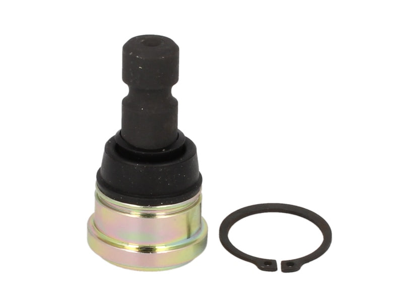 POLARIS svirties šarnyras