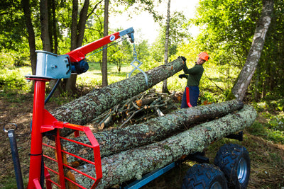 ŽNYPLĖS RĄSTAMS (LOG GRAPPLE - LIFTING TINGS) IRON BALTIC 
