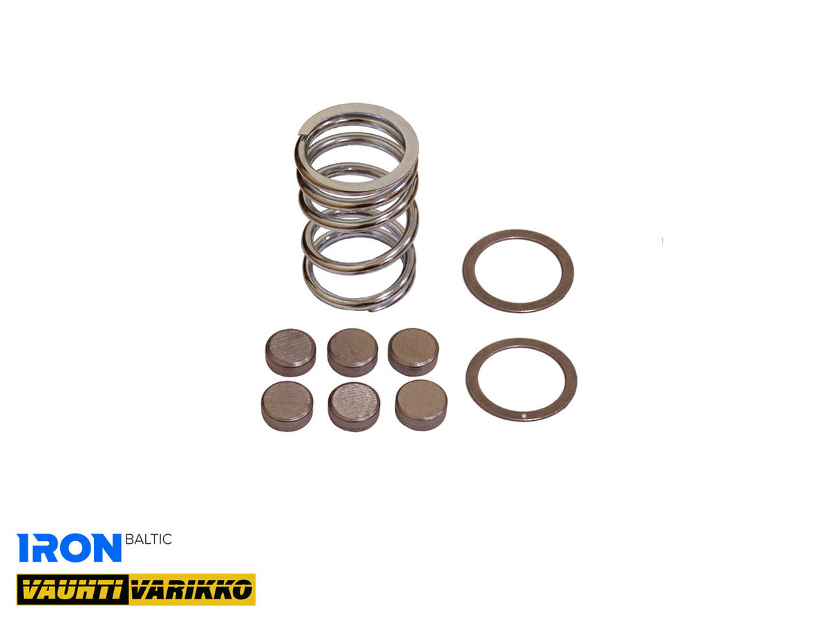 VARIATORIAUS PATOBULINIMO KOMPLEKTAS IRON BALTIC ZFORCE 1000 (STAGE 2)
