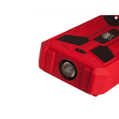 Atsarginė BATERIJA (power bank) – nuotrauka 4