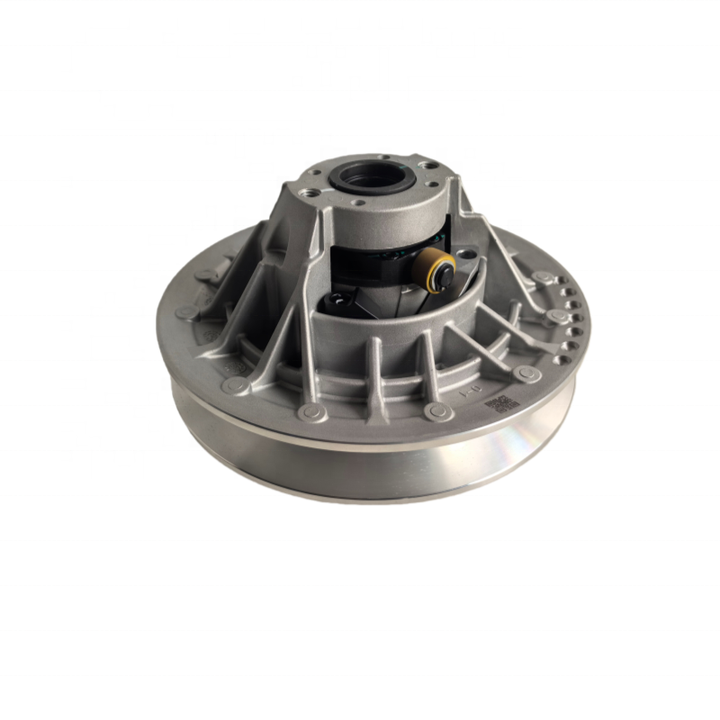 QJMOTOR SFA 1000 ANTRINIS variatorius 209036770030