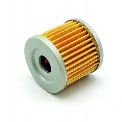 QJMOTOR SRK/SRV 125 ALYVOS FILTRAS 160043090000