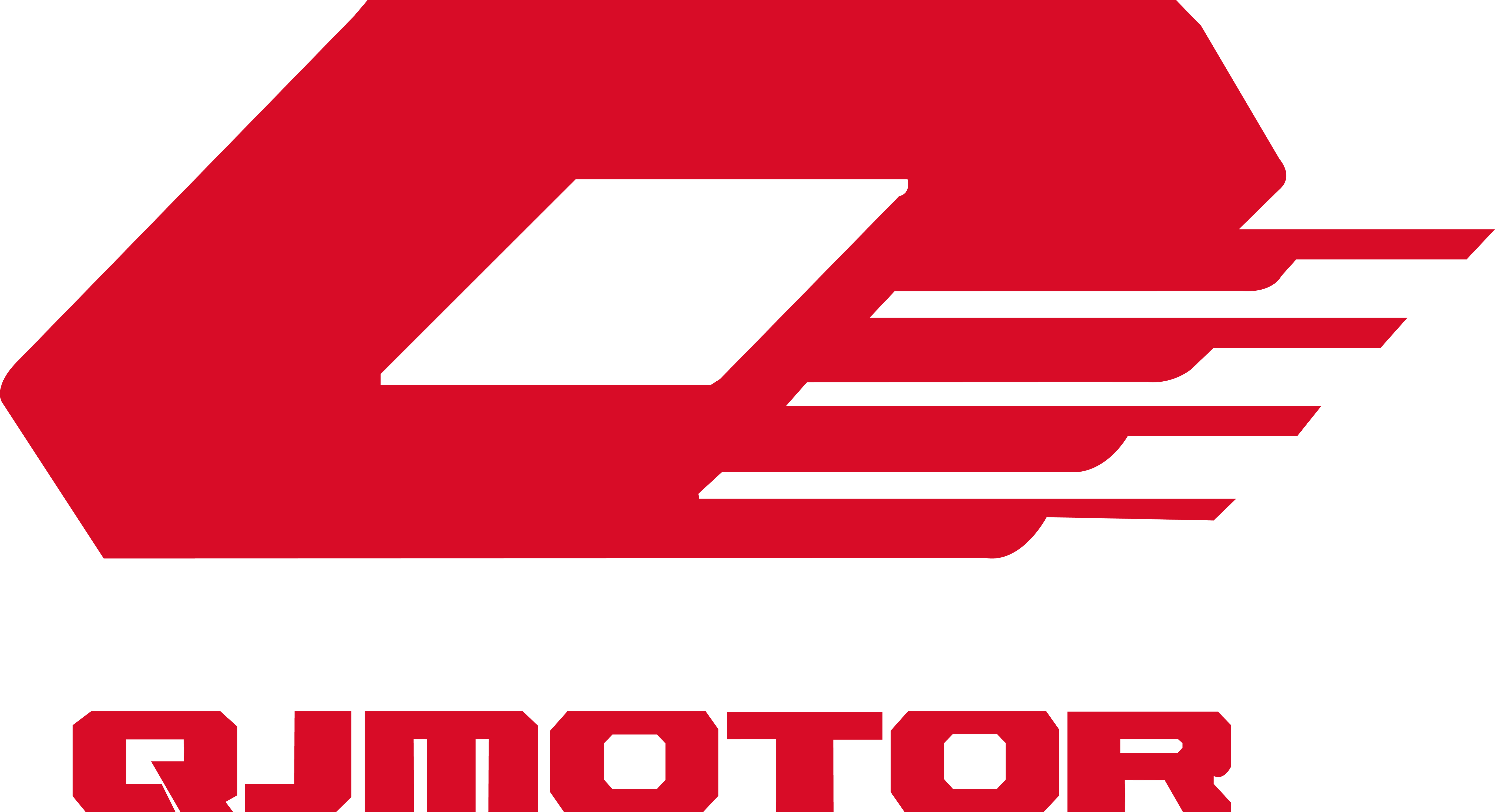 QJMOTOR SFA 600/1000 VIDINIS variatoriaus DANGTIS 209356770000