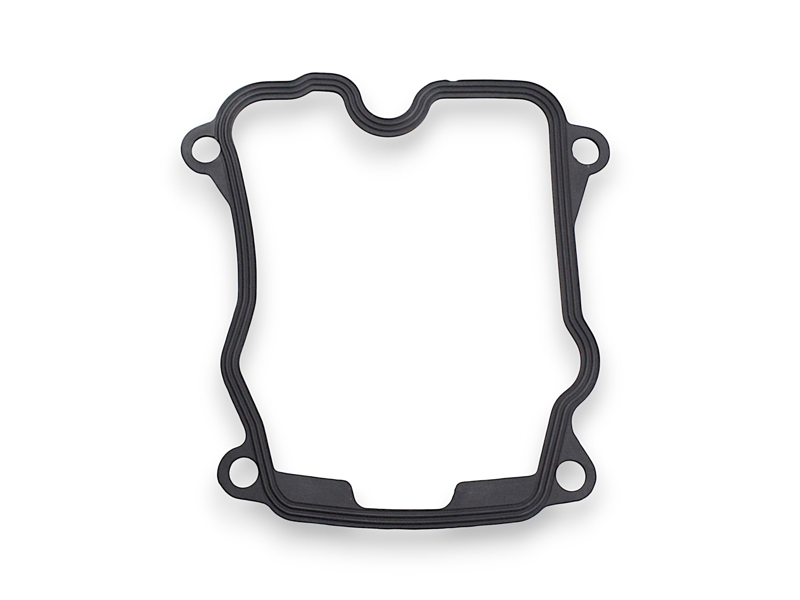 QJMOTOR SFA 600/1000 CILINDRO GALVOS tarpinė 109026770000